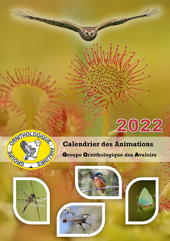 Calendrier 2022